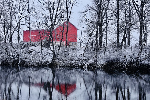 Red Reflection in Wisconsin