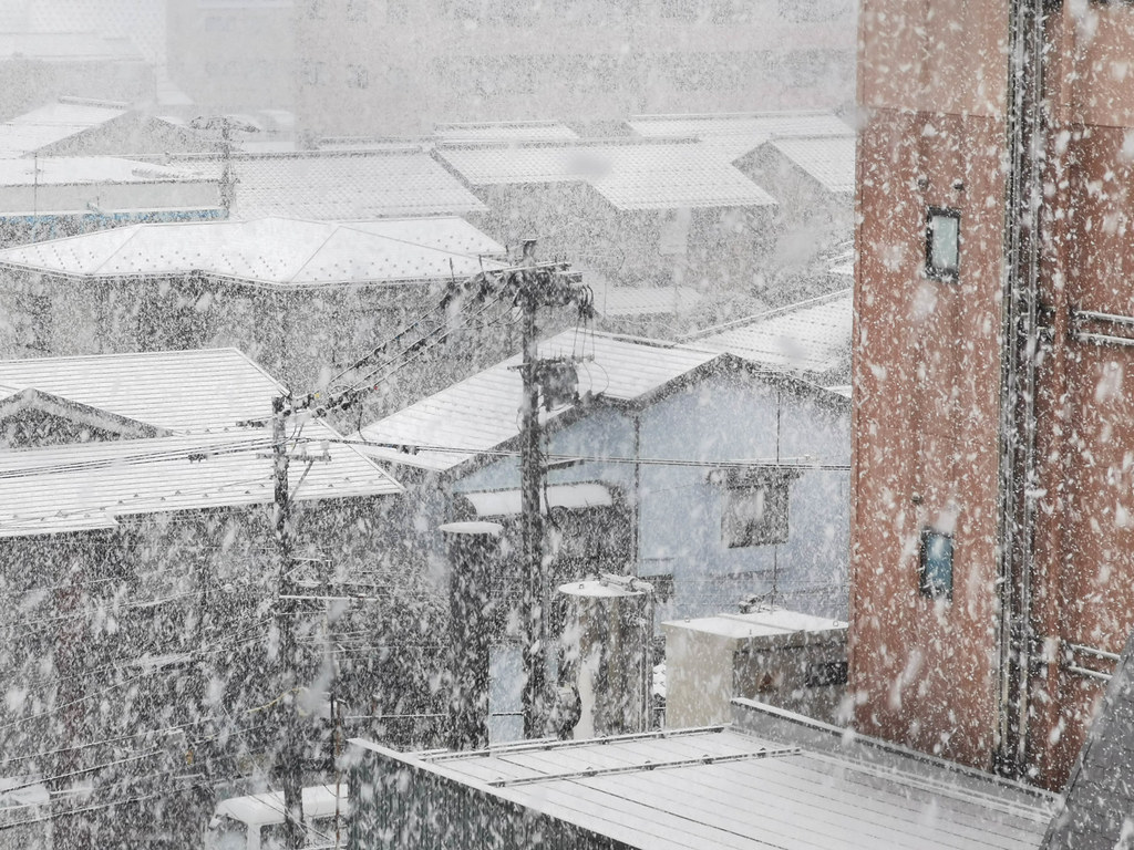 Зимняя Япония 2023: Нагано-Канадзава-Этидзен-Мияма (Каябуки-но-Сато)-Киото-Гудзё Хатиман-Магомэ-Цумаго-Кисо Фукусима-Токио (Одайба)