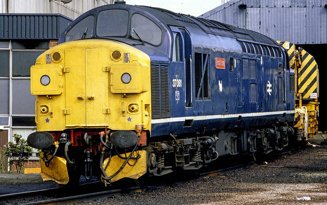 37081 Loch Long at Eastfield Depot Glasgow waiting between duties in 1983. A class I did not expect to be still with us some  40 years later.