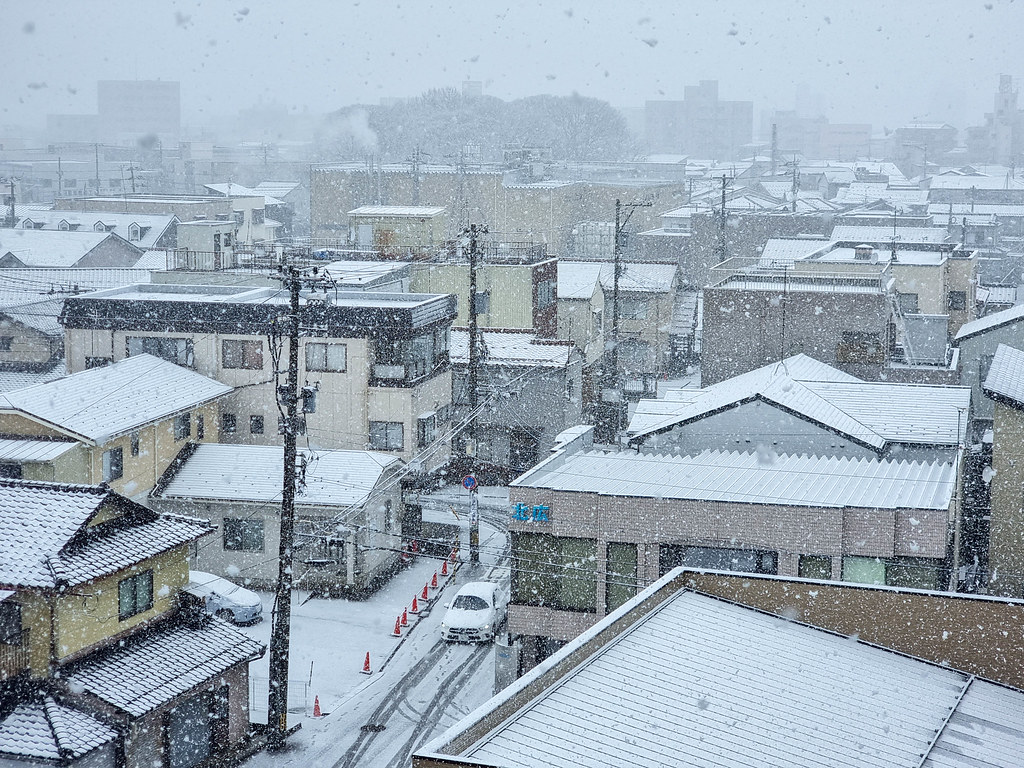 Зимняя Япония 2023: Нагано-Канадзава-Этидзен-Мияма (Каябуки-но-Сато)-Киото-Гудзё Хатиман-Магомэ-Цумаго-Кисо Фукусима-Токио (Одайба)