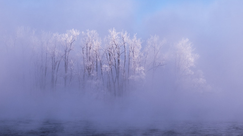 « Le silence de l'hiver » - Circuit photo, Couleur - Sophie Lapointe - Club de photographie l'Iris de Chambly - 24e - 73,23