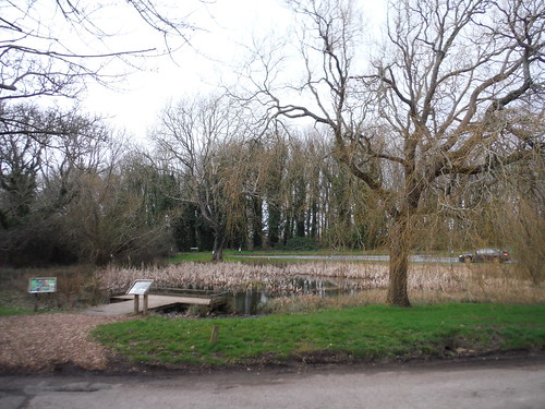 Pond by the A259, by St. Mary's Church, Friston SWC403 - Hampden Park to Eastbourne