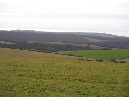 Friston Forest from the Downs SWC403 - Hampden Park to Eastbourne