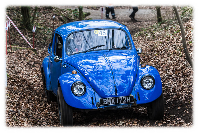 blue beetle