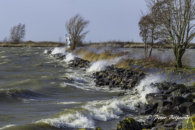 13-03-2023 Stormachtige dag vandaag, Oostvaardersdijk Almere windkracht 9.