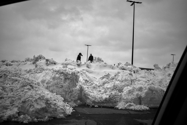 Top of the Snow Bank
