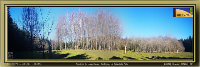 Province du Luxembourg, Bastogne, Le Bois de la Paix