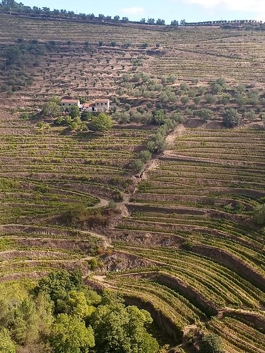 The terraced hills of Portugal's wine region.  From Travel with Awe and Wonder: Considering Portugal