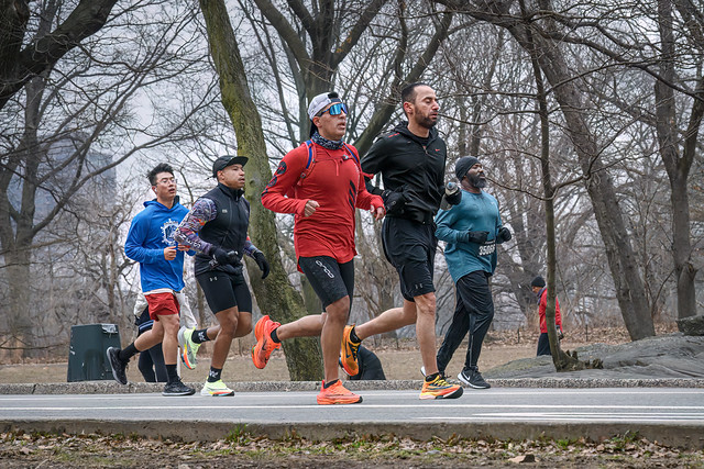 Runners in Central Park running a half marathon practice run, New York City.