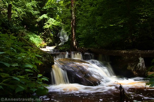 Little waterfalls below Ozone Falls, Falls Trail, Glen Leigh, Ricketts Glen State Park, Pennsylvania