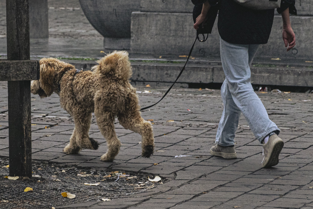 Untitled | Luca | Flickr