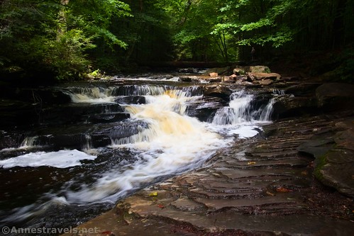 Unnamed falls in Glen Leigh, Ricketts Glen State Park, Pennsylvania