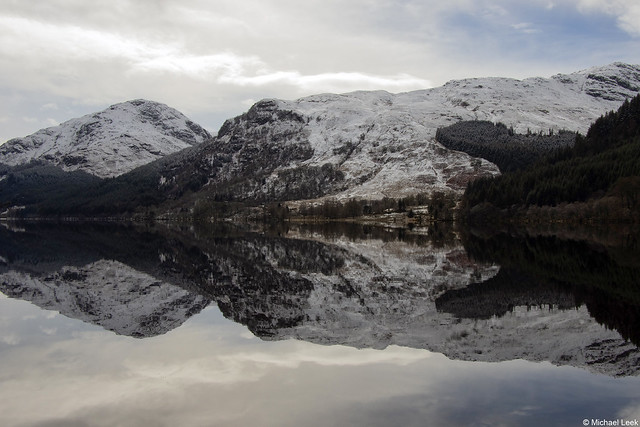 Reflections; Loch Eck, Argyll Forest, Argyll, Scotland.