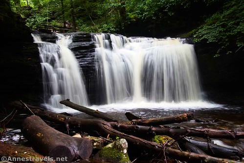 Wyandot Falls, Leigh Glen, Falls Trail, Ricketts Glen State Park, Pennsylvania