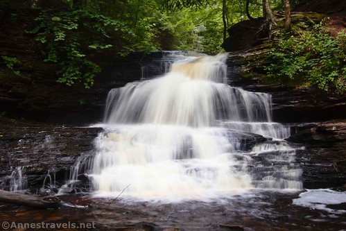 Onondaga Falls, Falls Trail, Glen Leigh, Ricketts Glen State Park, Pennsylvania