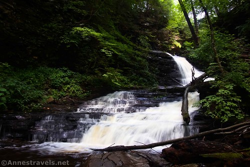 Huron Falls, Falls Trail, Glen Leigh, Ricketts Glen State Park, Pennsylvania