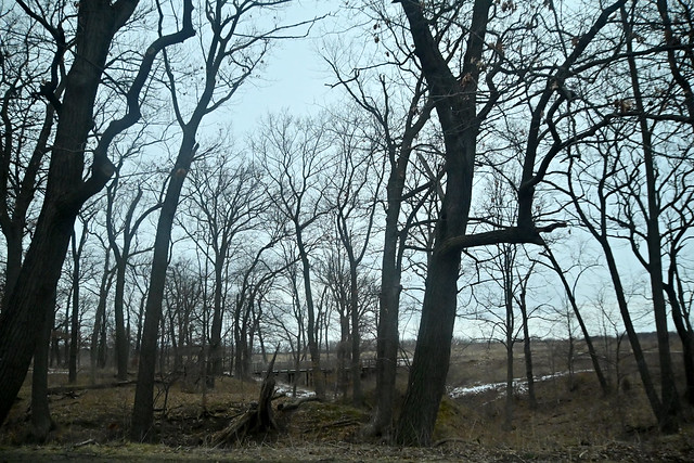 Late Winter Landscape, Fort Sheridan Forest Preserve and Beach, Fort Sheridan, Illinois, March 11, 2023 64 full