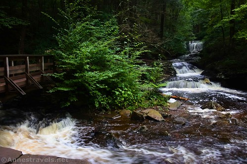 Waters Meet.  Ganoga Glen is to the left and Glen Leigh is to the right (see Wyandot Falls 'way up Glen Leigh?)  Falls Trail, Ricketts Glen State Park, Pennsylvania