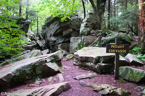 Entering Midway Crevasse in Ricketts Glen State Park, Pennsylvania