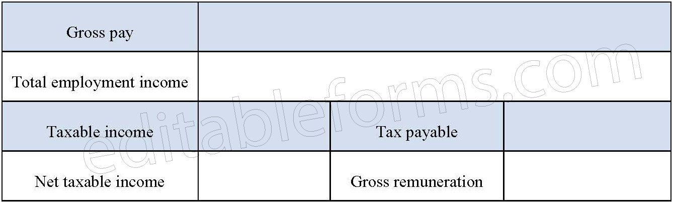 Payroll Tax Form
