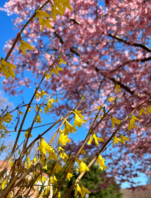 Colors of Spring