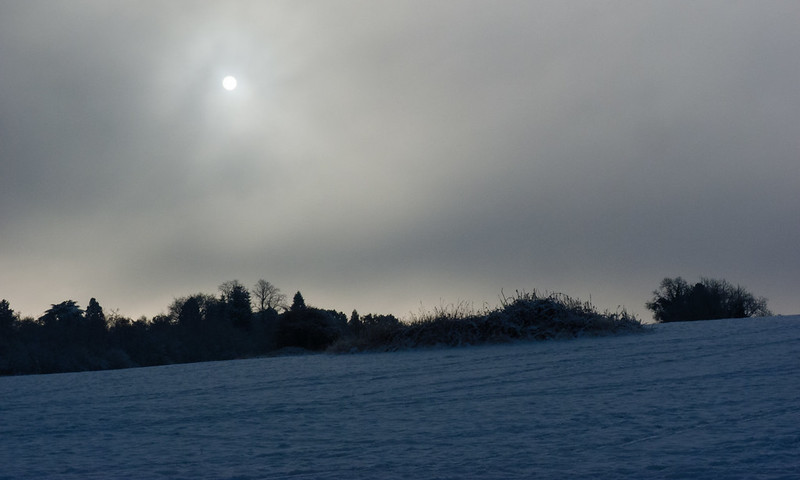 Barley Field: snow and feeble sun