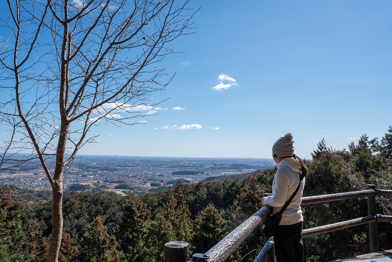 幕岩展望台から関東平野
