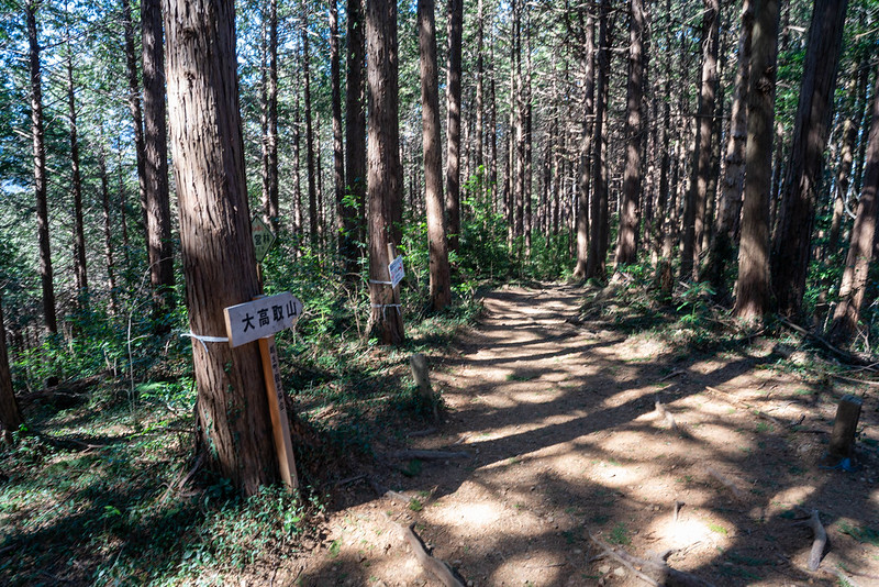 幕岩展望台から大高取山