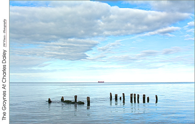 The Groynes At Charles Daley