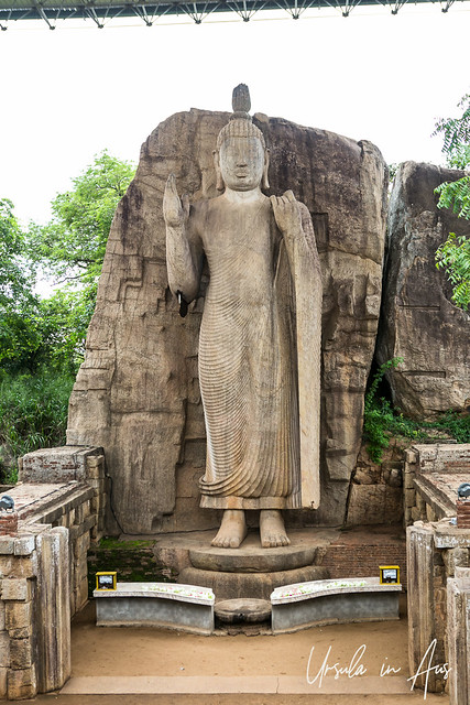 Standing Buddha 4159