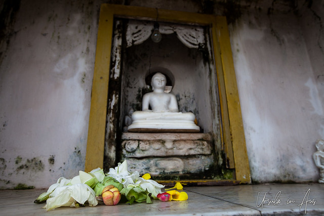 Buddha in an Alcove 5367