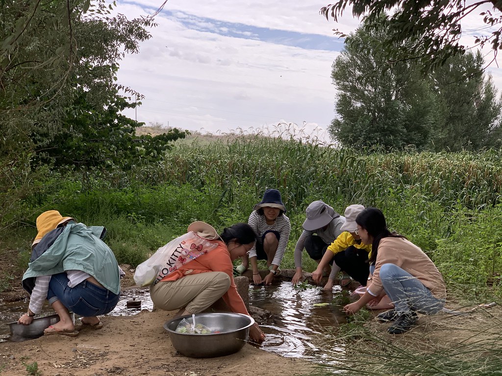 在中國西北阿拉善盟，參加生態農莊「致良田」活動的成員們正在田間水渠裡洗菜。圖片來源：馬彥偉／致良田