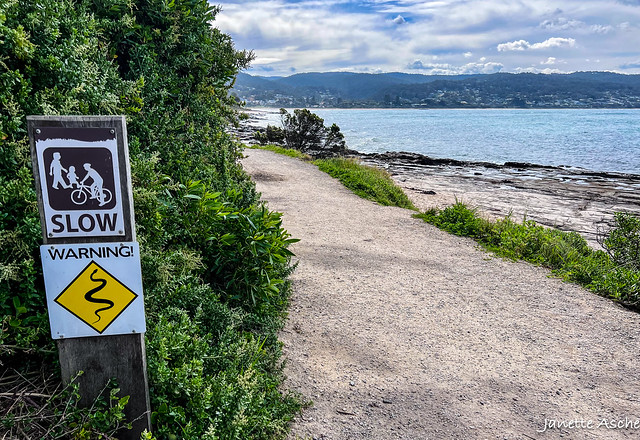 Signs at Lorne
