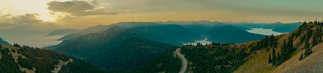 Hurricane Ridge at Sunrise | Olympic National Park, Washington, USA