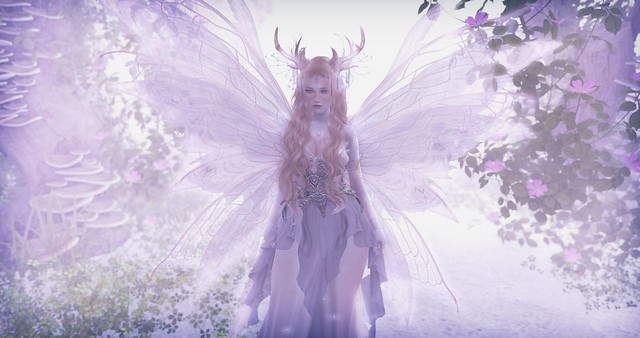 Fae Realm