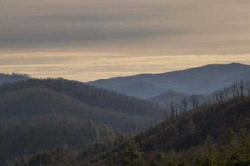 Lovers Leap Ridge, Madison County, North Carolina 2 by Chuck Sutherland, geo:lat=3589300070 geo:lon=8282677670 geotagged loversleapridge mountains sunset ridge deadtrees ove