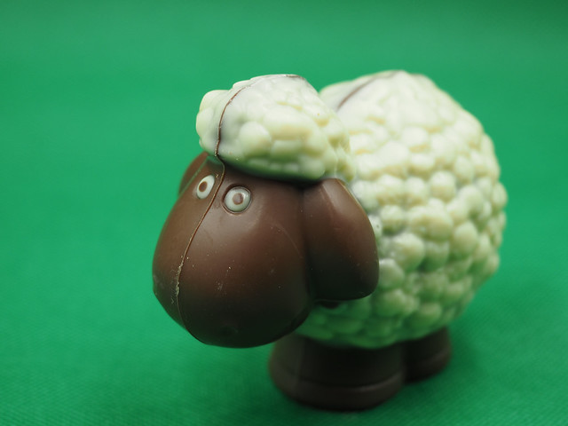 Schokoladen-Schaf - chocolate sheep