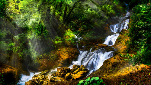 georgia trees light water landscape waterfall svaneti rachkha martvili samagrelo ადგილ რაჩხადან nature sigma nopeople shchukin lechkhumi nikond5200