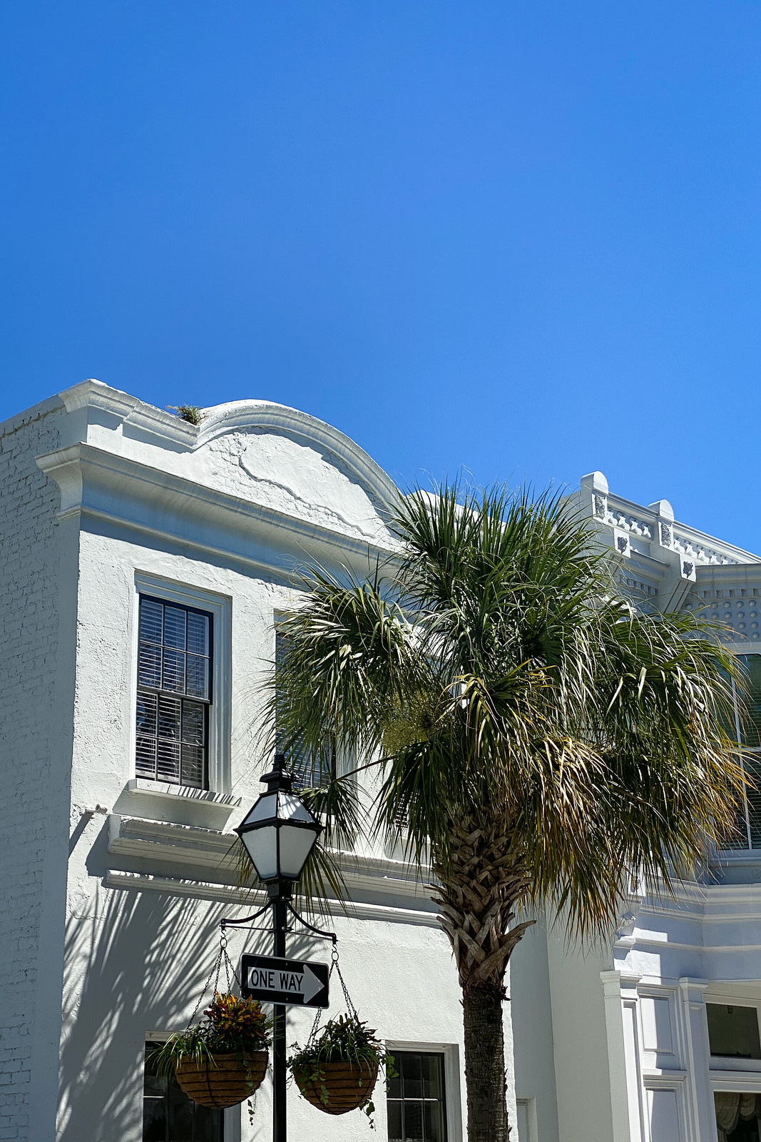 10 Things You Must Do in Charleston | Shopping on King Street | What to Do in Charleston South Carolina | Charleston Travel Guide | Top Things to do in Charleston | Best Things to Do in Charleston SC | What to See, Do & Eat in Charleston