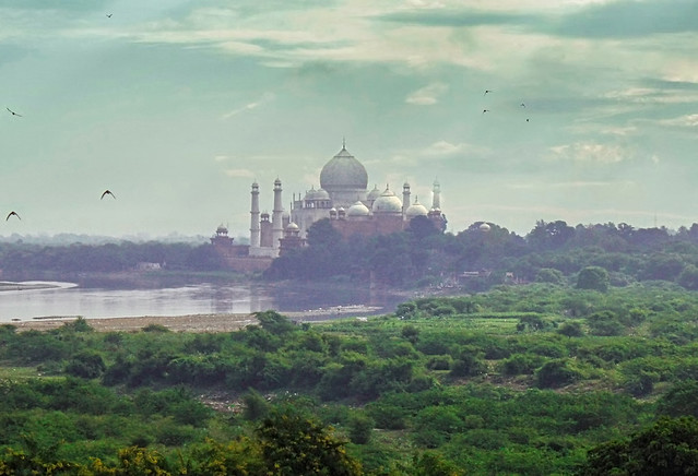 Agra IND - Taj Mahal 19