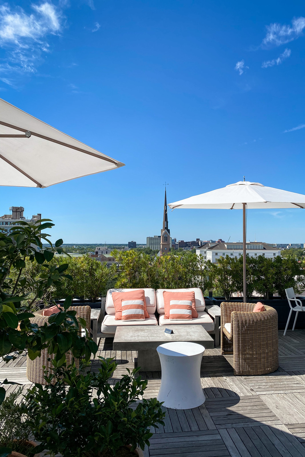 The Citrus Club at the Dewberry | Best Rooftop in Charleston | Where to Eat in Charleston | Best Food in Charleston | First Timer's Guide to 3 Days in Charleston South Carolina | What to do in Charleston | Charleston Travel Guide | Best Things to do in Charleston | Best Places to visit in Charleston