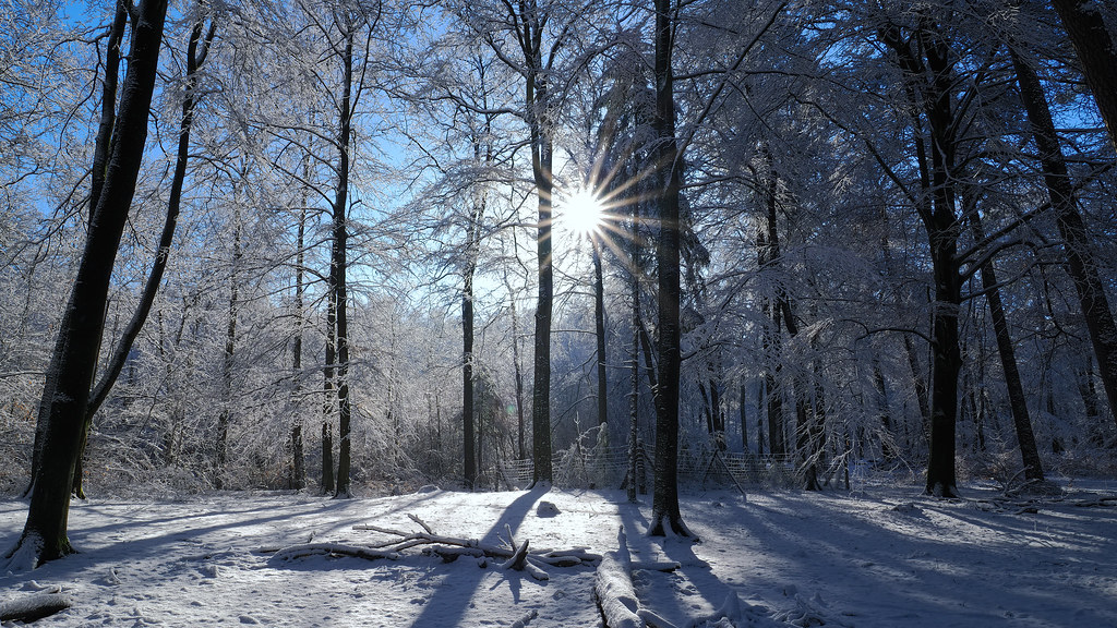 Snow, Light And Shadows