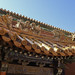 019Sep 18: Forbidden City Roof