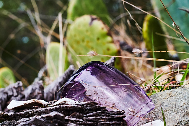 broken glass and cactus