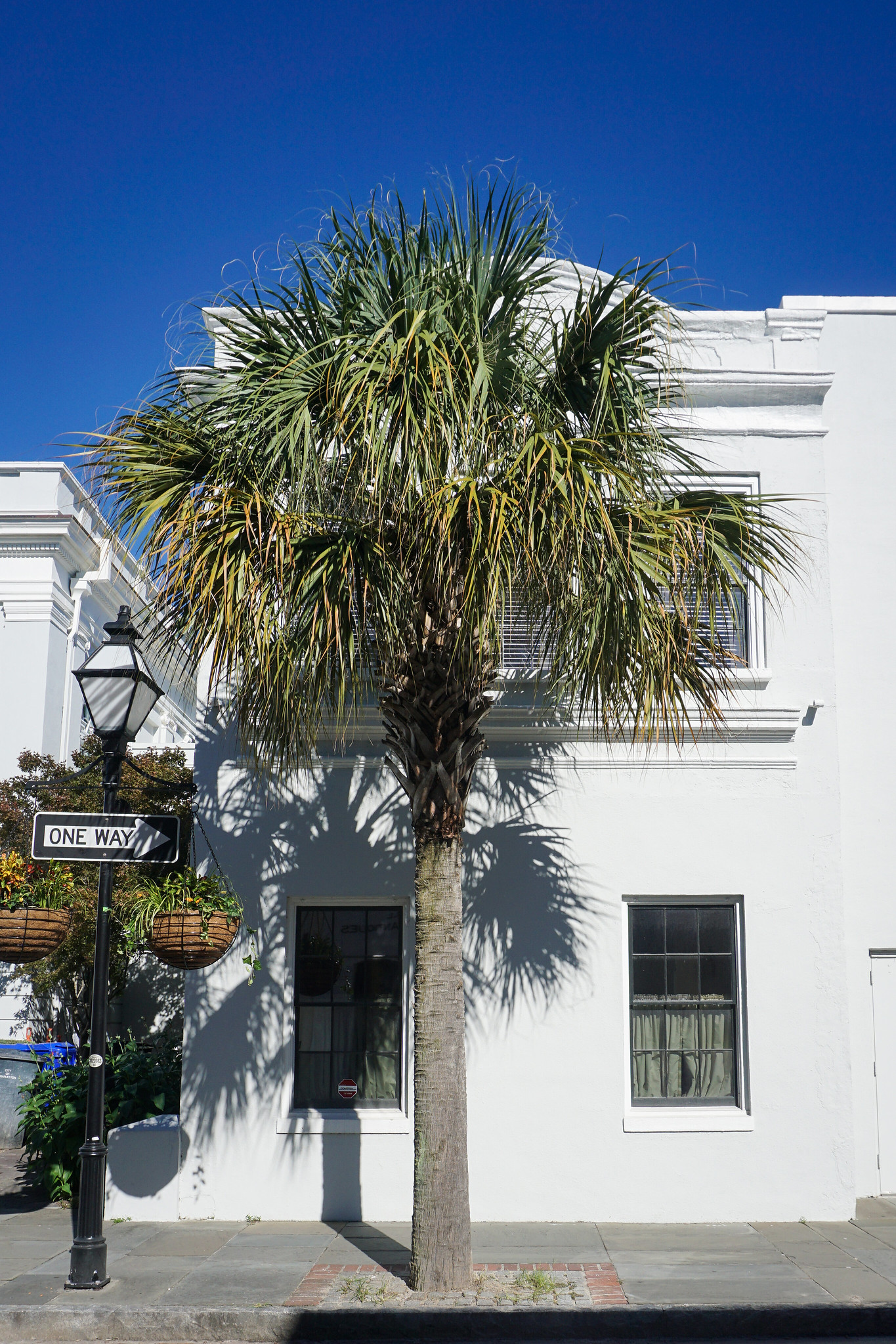 King Street Charleston | A First Timer's Guide to 3 Days in Charleston South Carolina | What to do in Charleston | Charleston Travel Guide | Best Things to do in Charleston