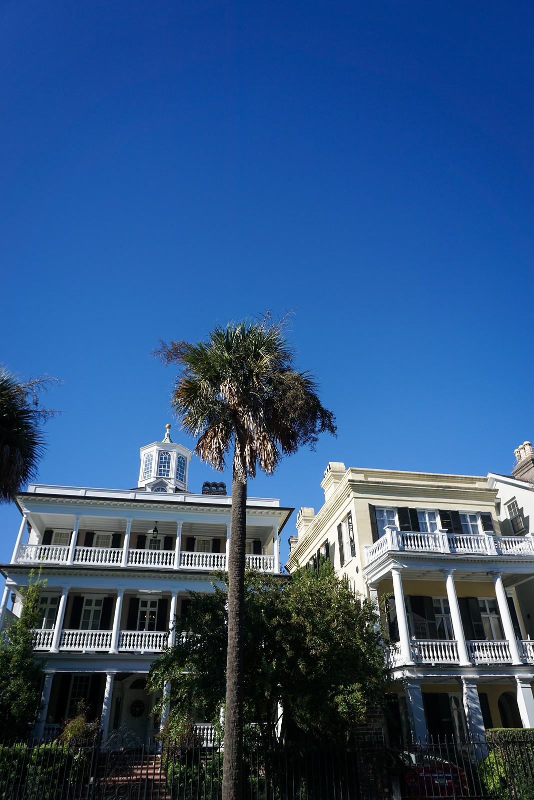 10 Things You Must Do in Charleston | The Battery | Two Sisters Walking Tour | Best Tours in Charleston | What to Do in Charleston South Carolina | Charleston Travel Guide | Top Things to do in Charleston | Best Things to Do in Charleston SC | What to See, Do & Eat in Charleston