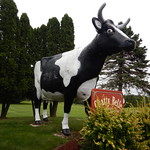 Chatty Belle World&#039;s Largest Talking Cow, Neillsville, WI