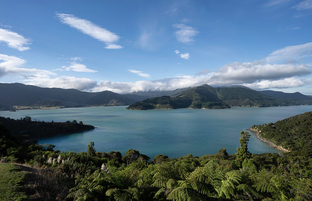 Kenepuru Sound, New Zealand