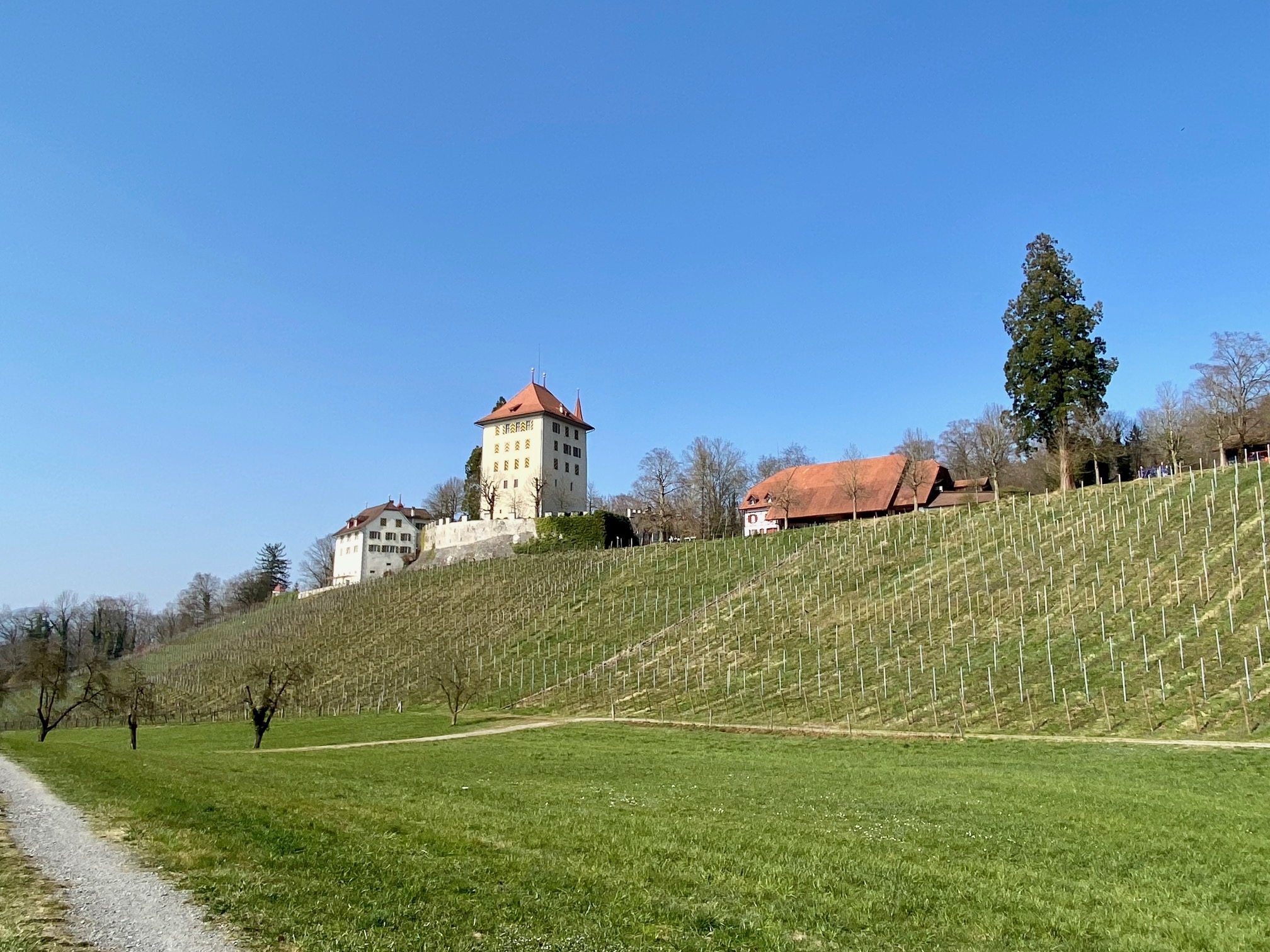 VCS-Frühlingsfahrt Schloss Heidegg! 18.03.2023