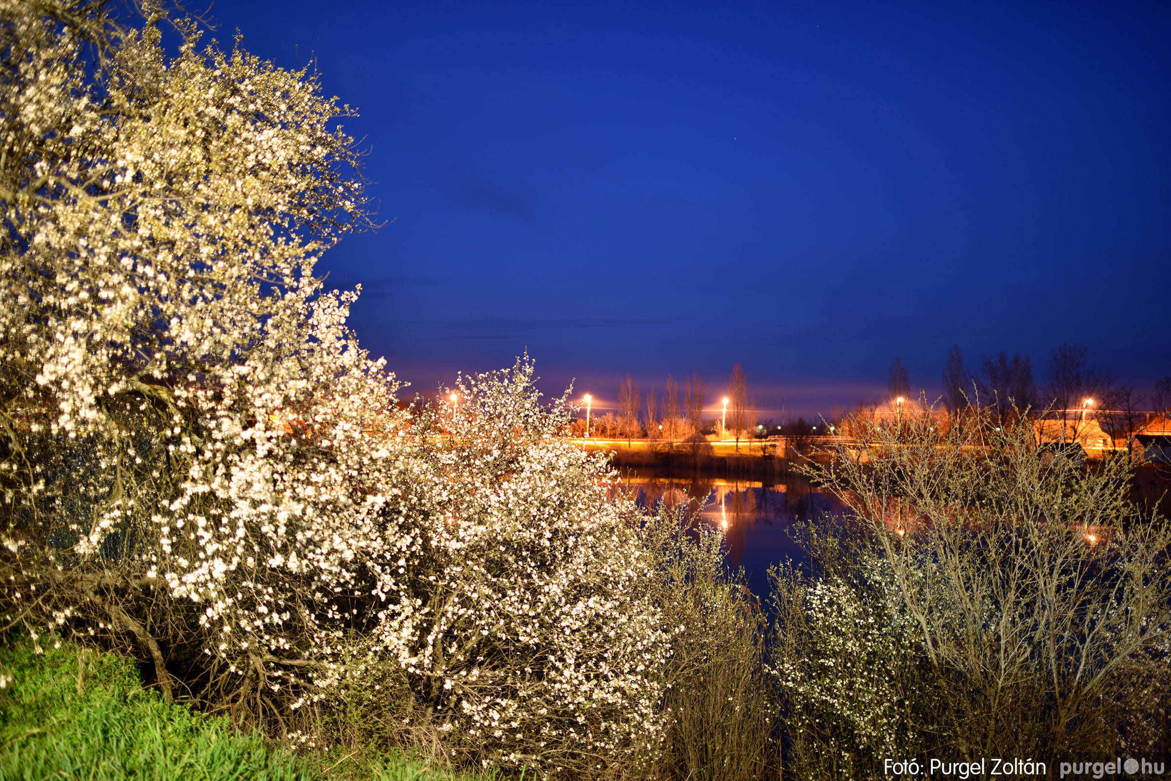 2023.03.19. 021 Esti fények a Kórógy-tó mentén - Fotó：PURGEL ZOLTÁN©.jpg